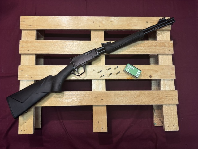 CARABINE ROSSI GALLERY  ROSSI | .22LR
